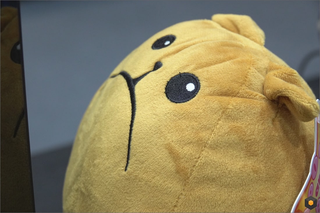 퀘이사존