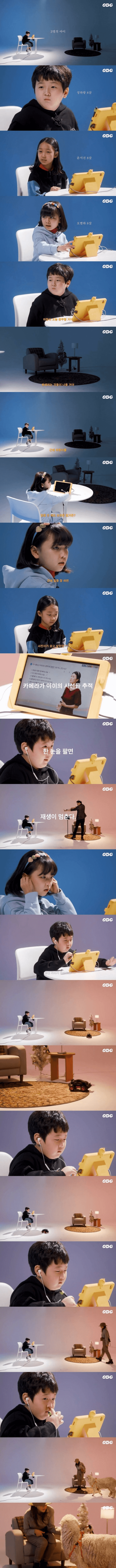 퀘이사존