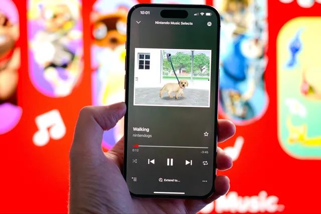 퀘이사존
