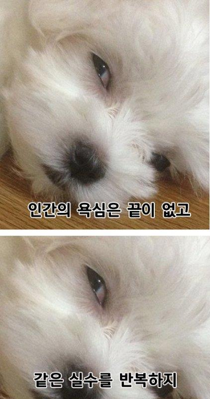 퀘이사존