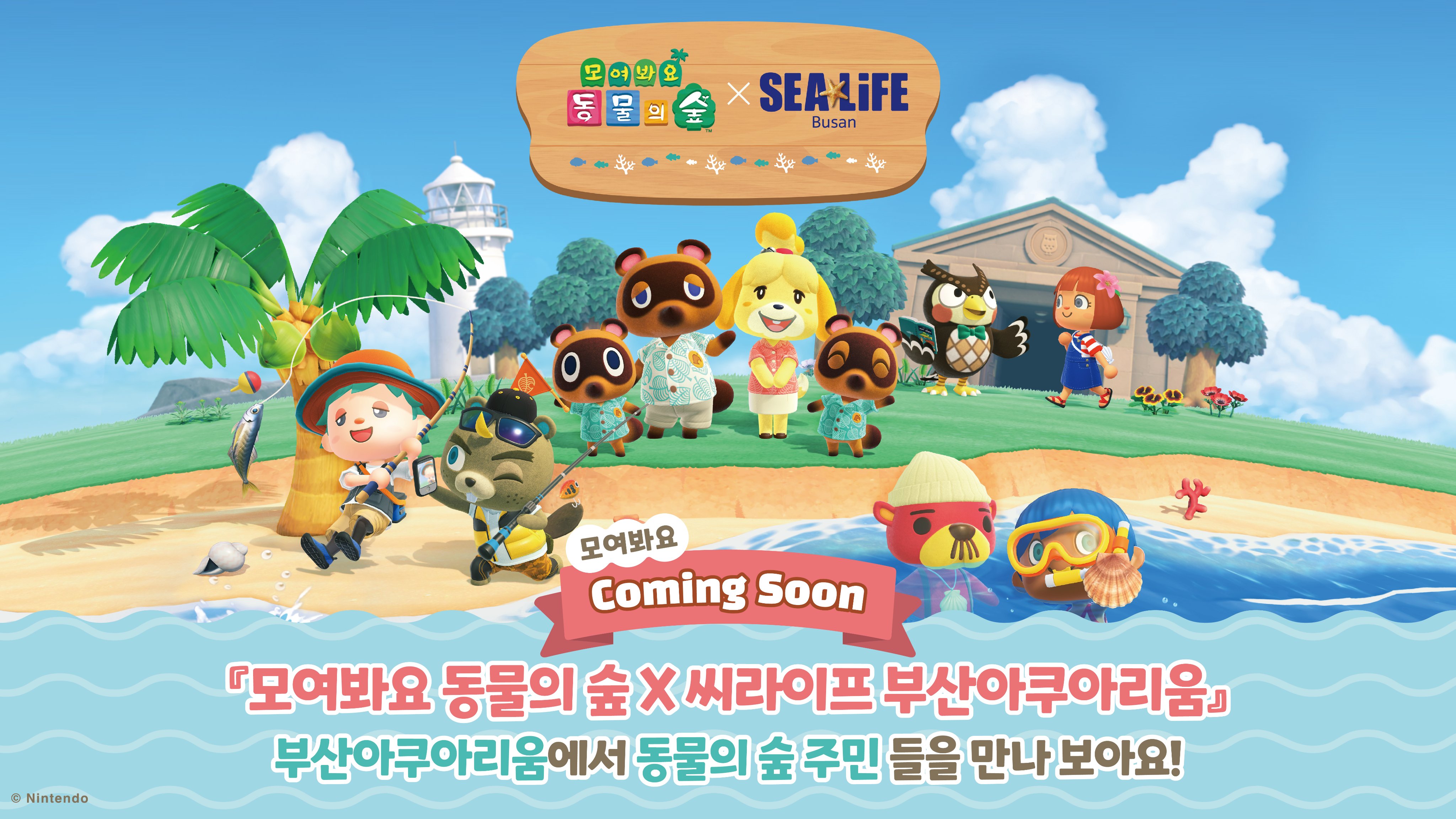 퀘이사존