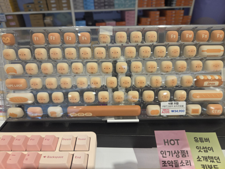 퀘이사존