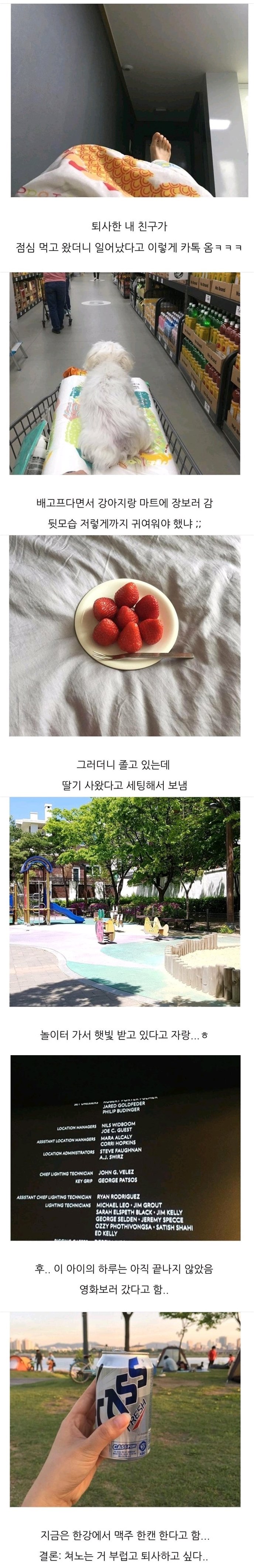 퀘이사존
