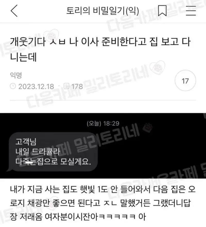 퀘이사존