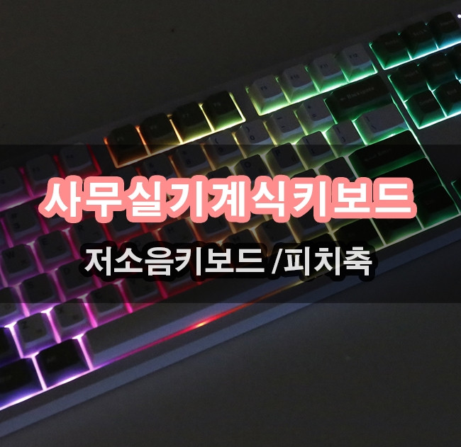 퀘이사존