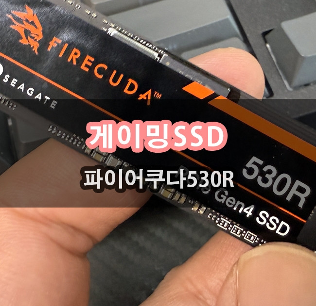 퀘이사존