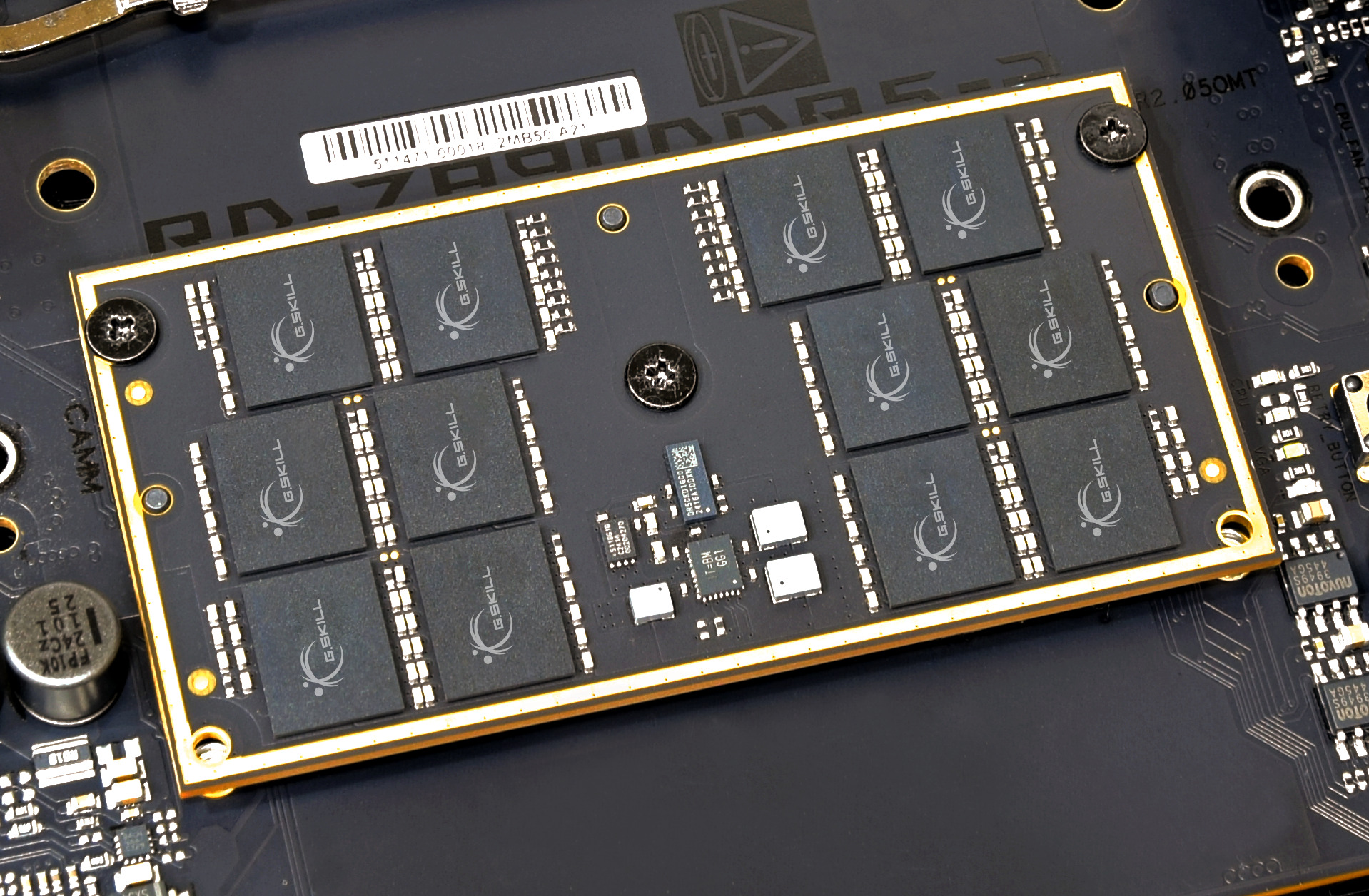 퀘이사존
