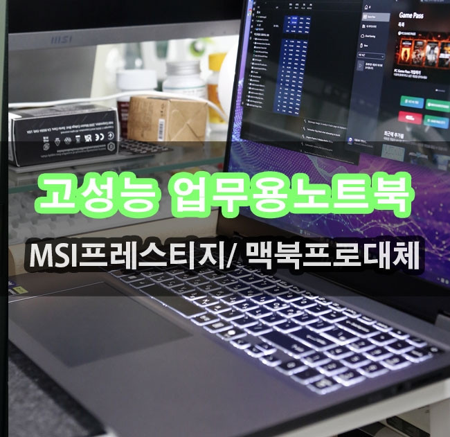 퀘이사존