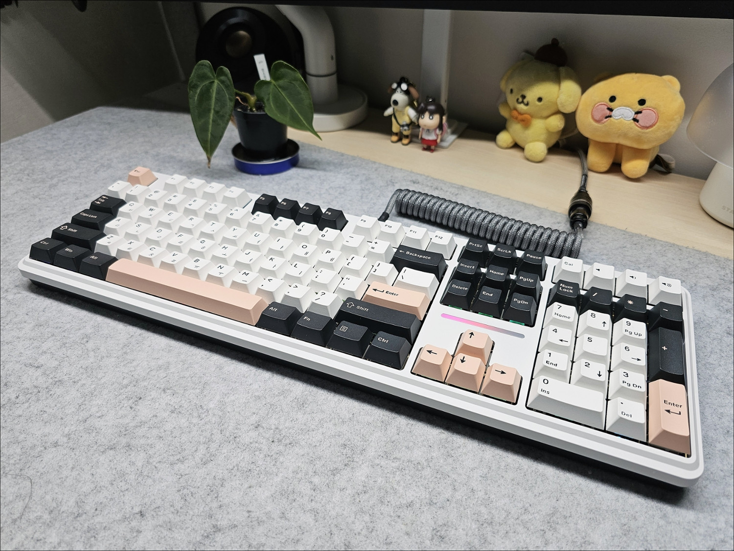 퀘이사존