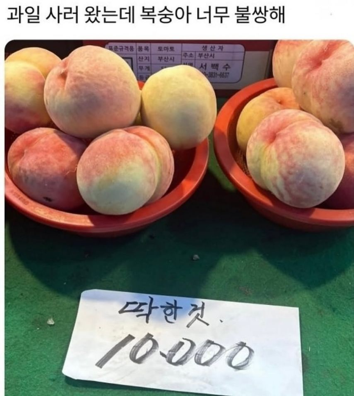 퀘이사존
