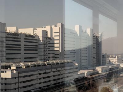 퀘이사존