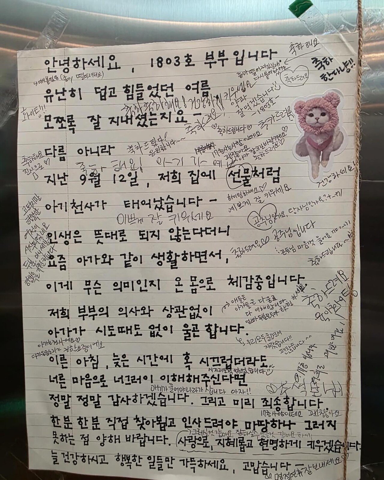 퀘이사존