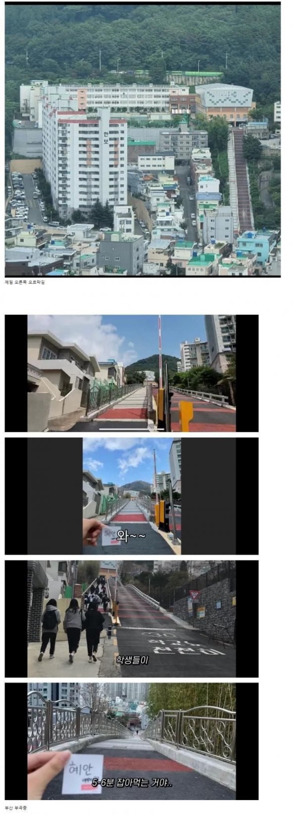 퀘이사존