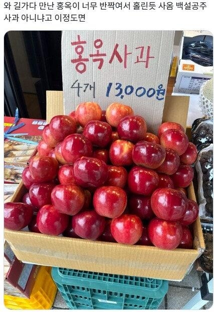 퀘이사존