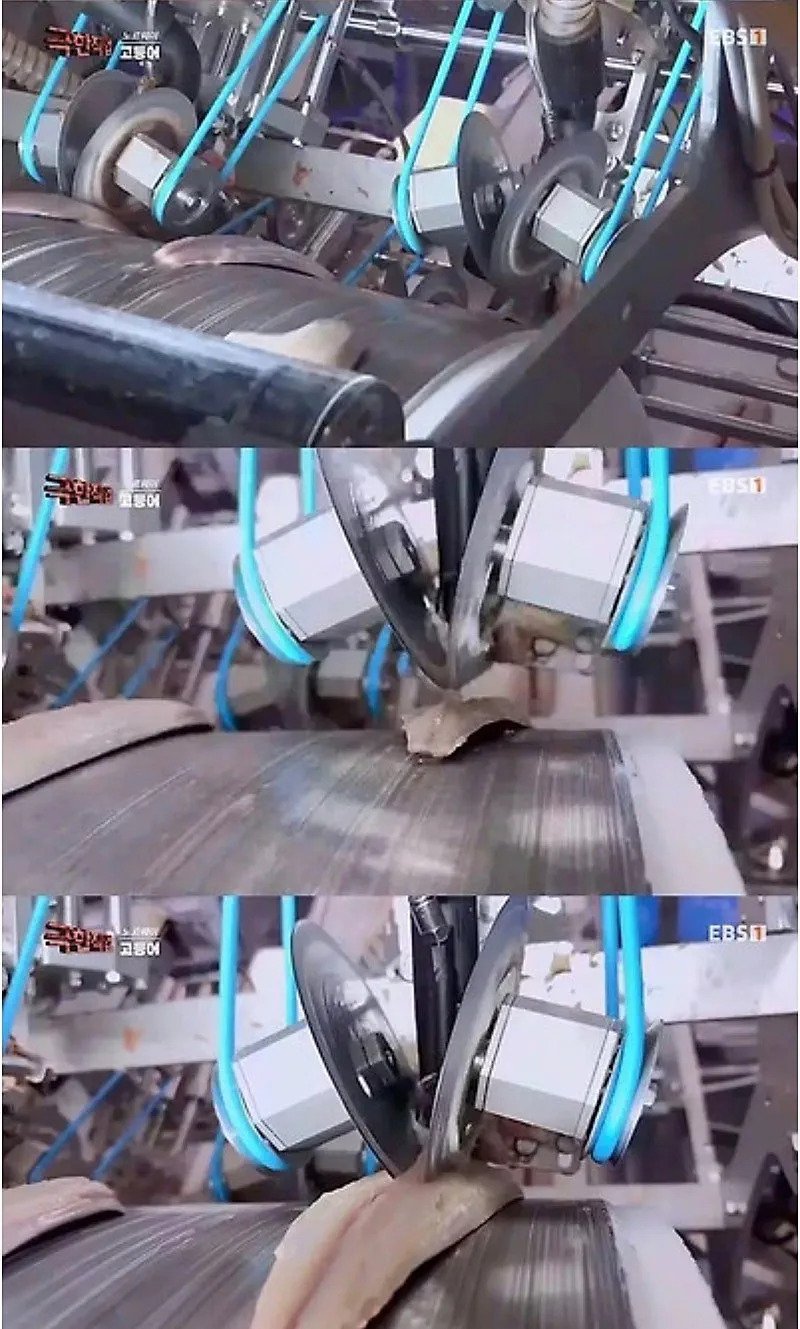 퀘이사존