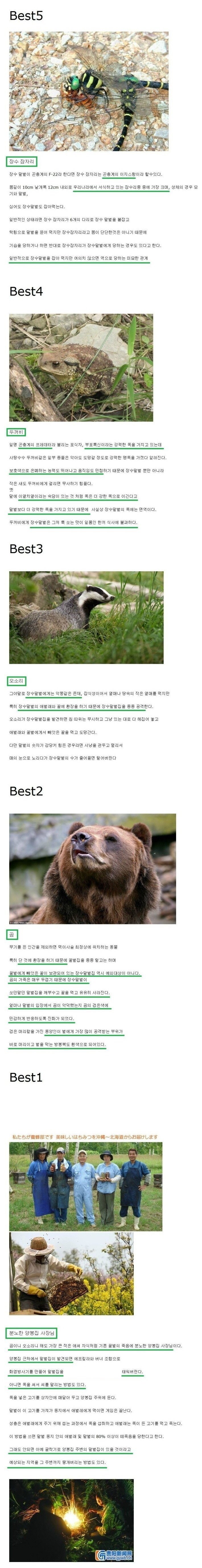 퀘이사존