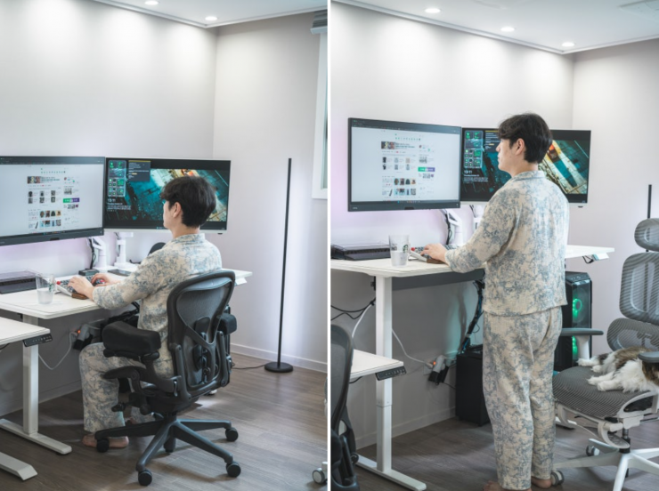 퀘이사존