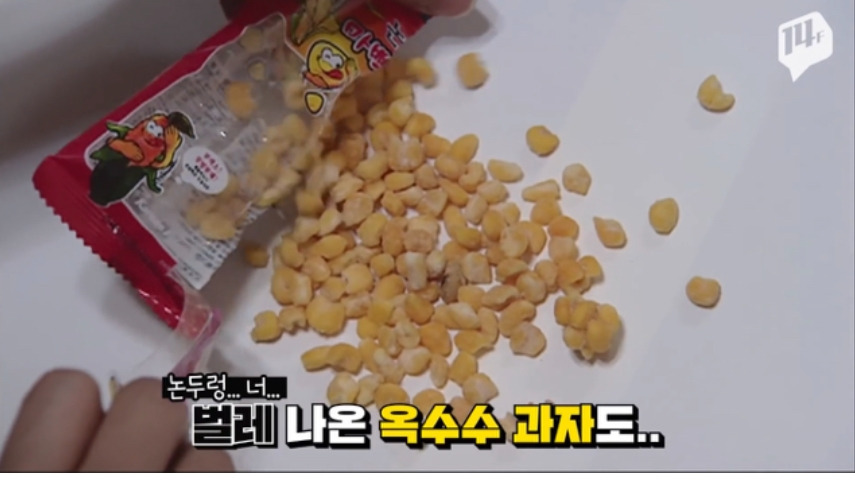 퀘이사존