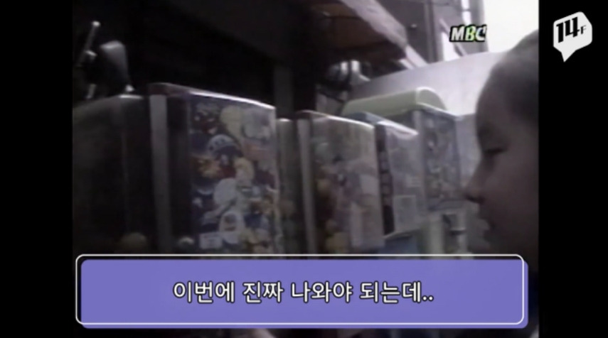 퀘이사존