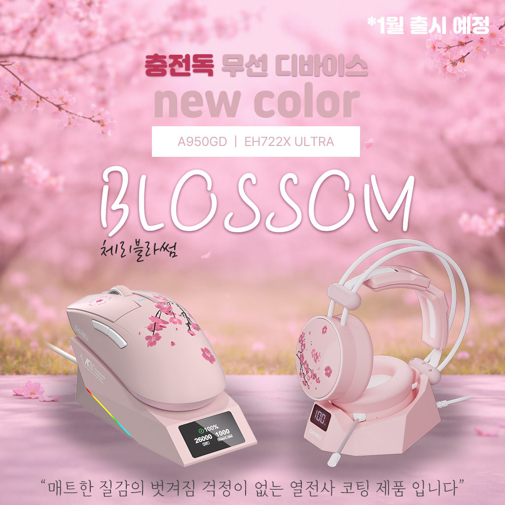 퀘이사존
