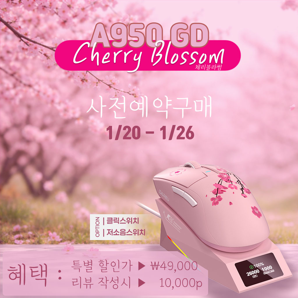 퀘이사존