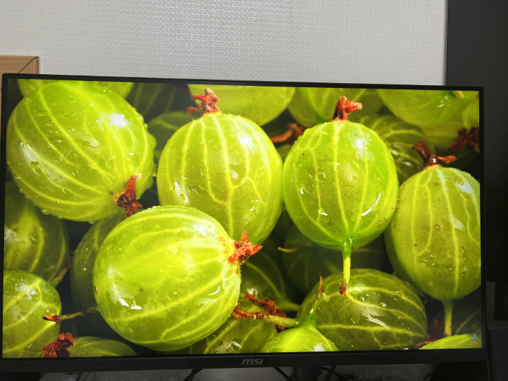 퀘이사존