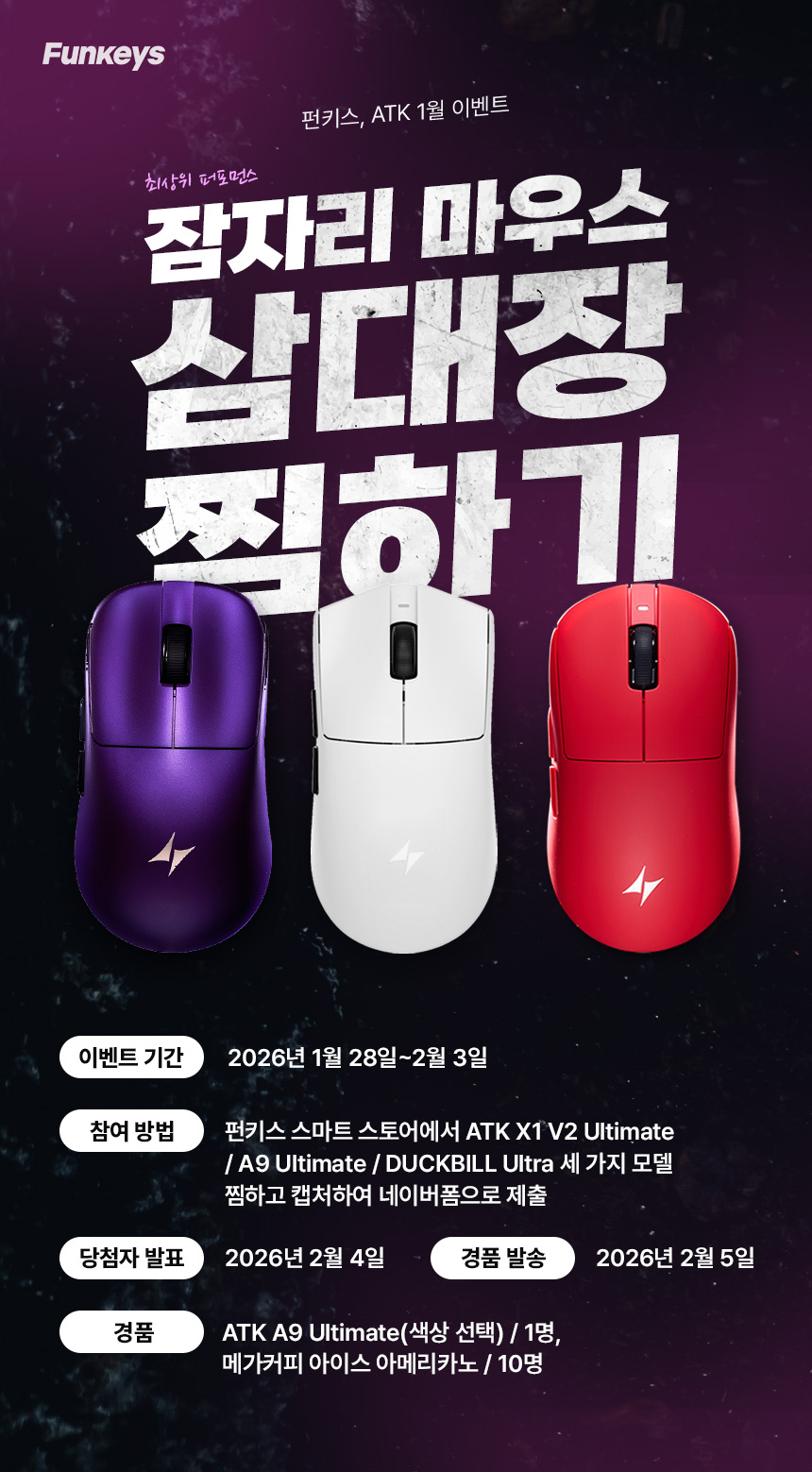 퀘이사존