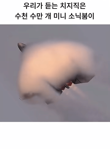퀘이사존