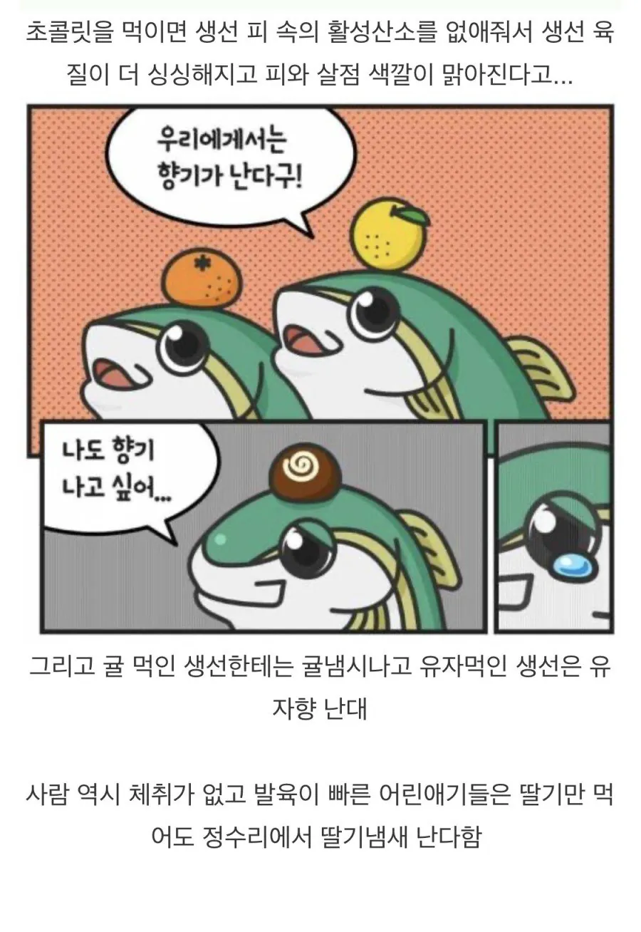 퀘이사존