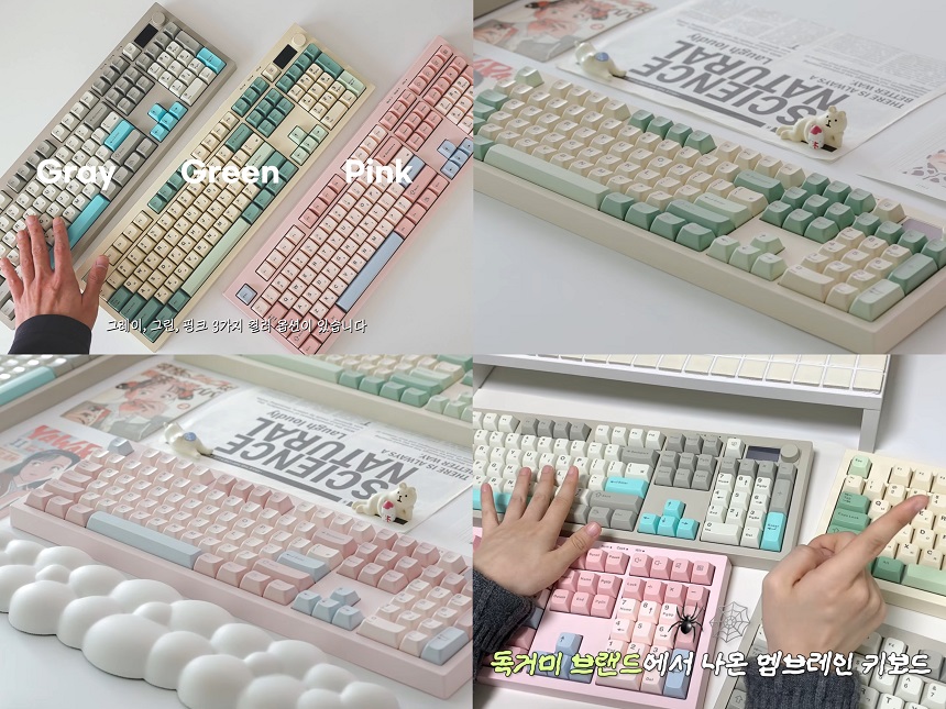 퀘이사존