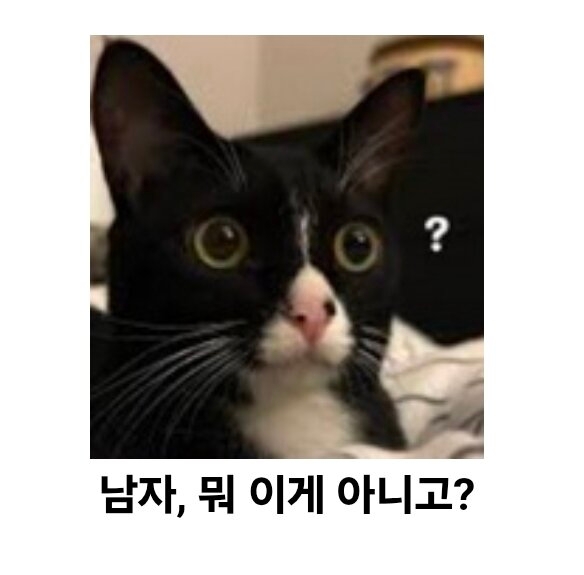 퀘이사존