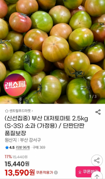 퀘이사존