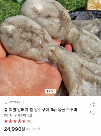 퀘이사존