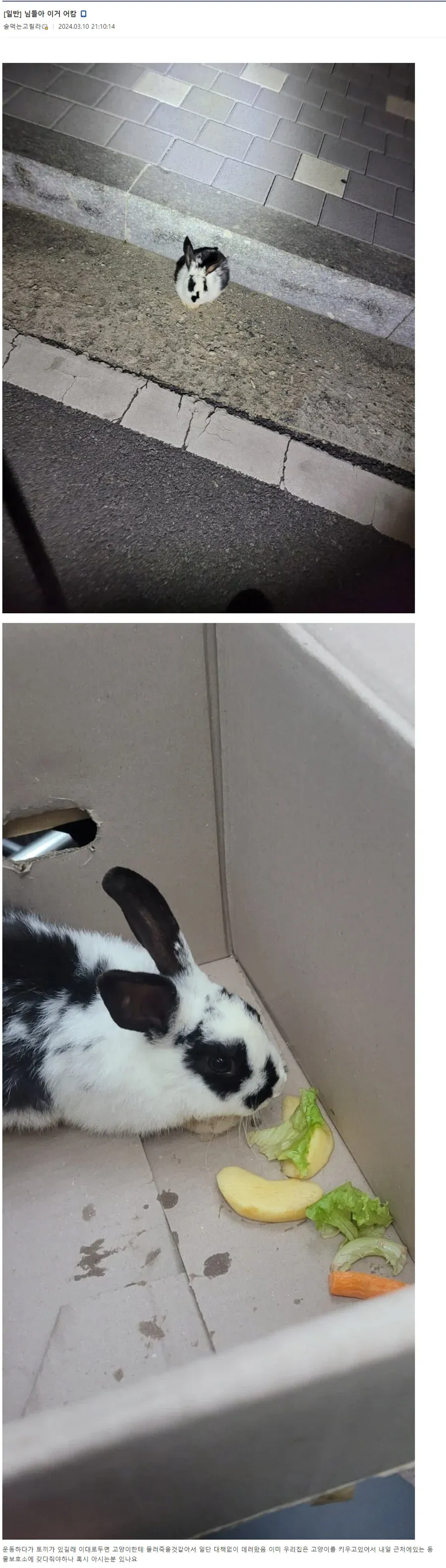 퀘이사존