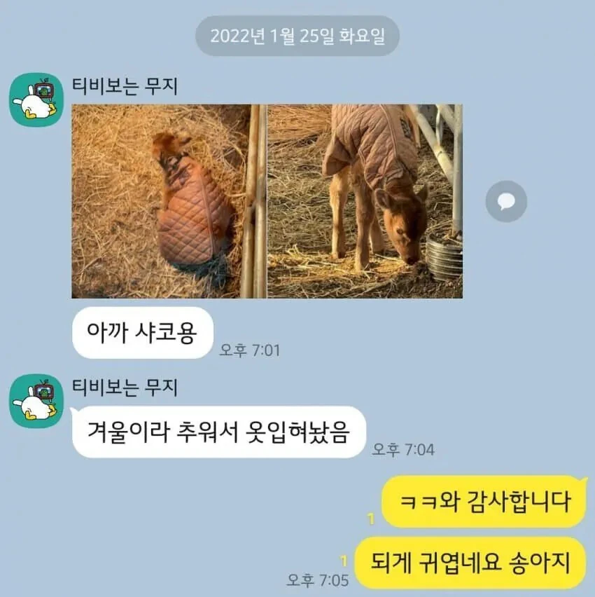 퀘이사존