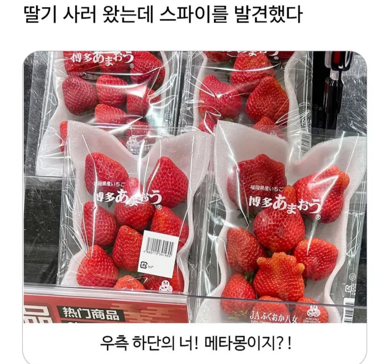 퀘이사존