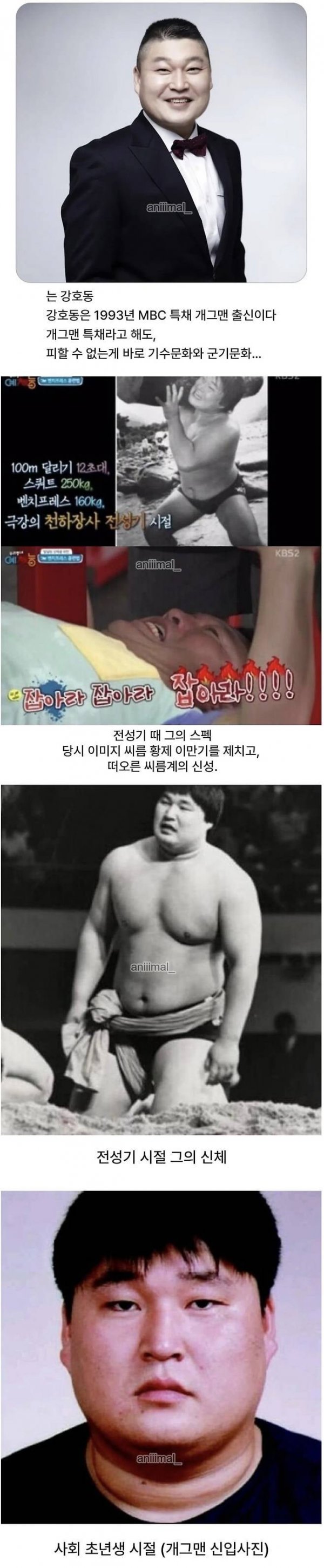 퀘이사존