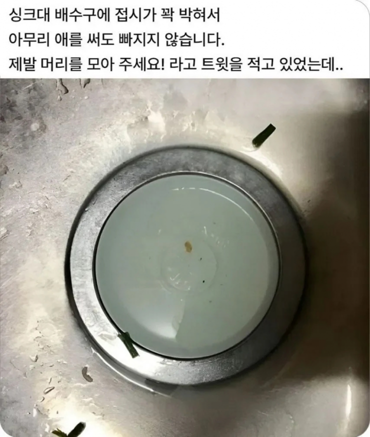 퀘이사존