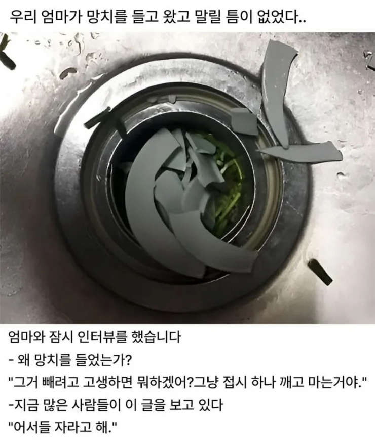 퀘이사존