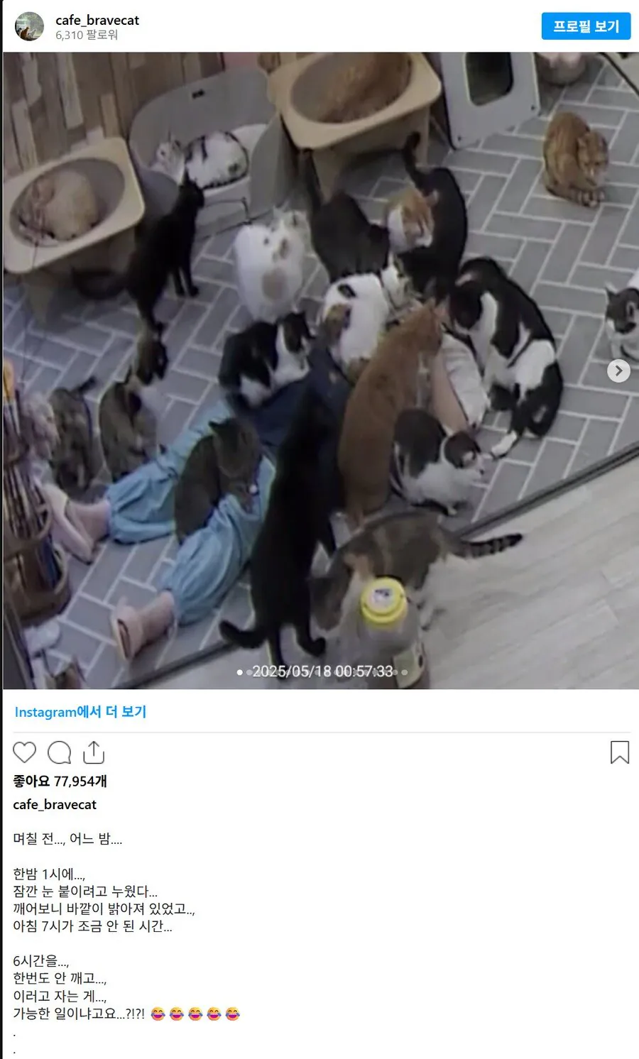 퀘이사존