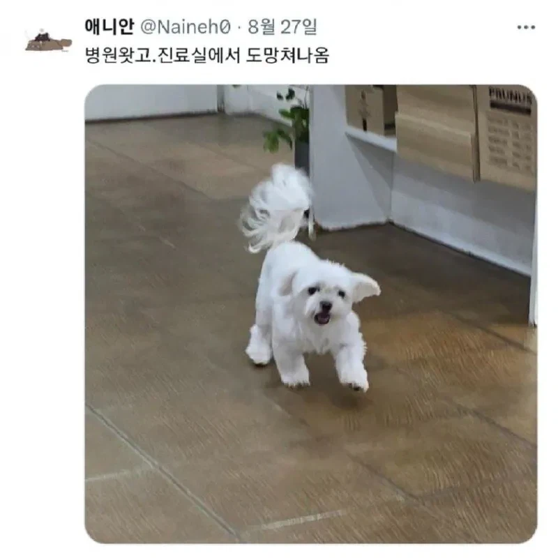 퀘이사존