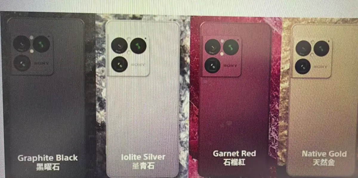 퀘이사존