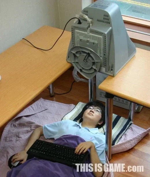 퀘이사존