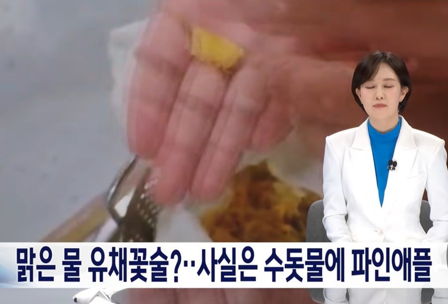 퀘이사존