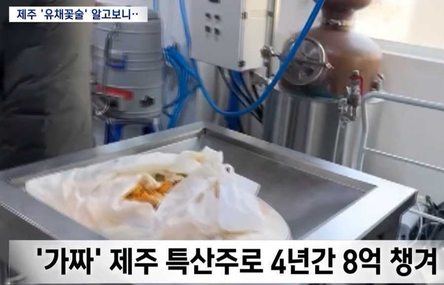 퀘이사존