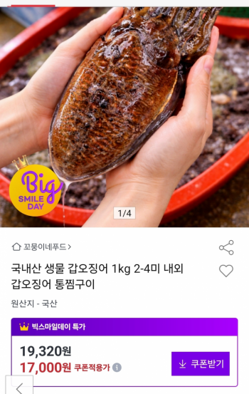 퀘이사존