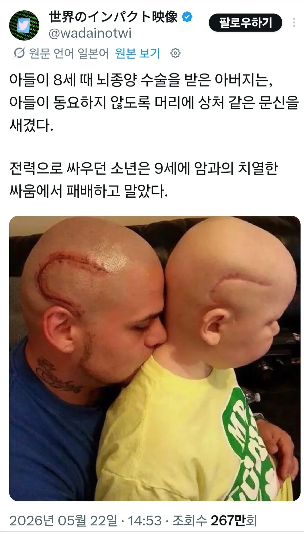퀘이사존