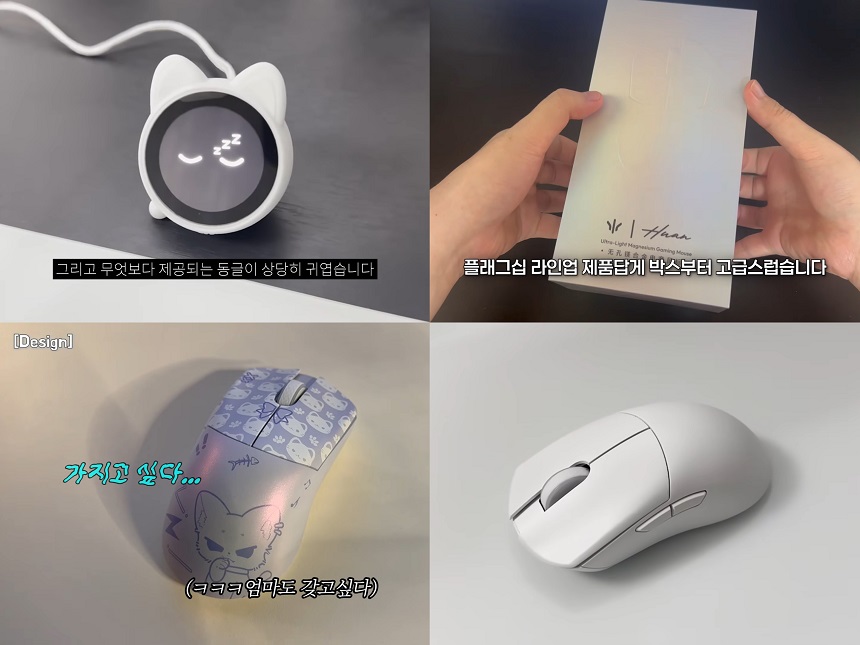 퀘이사존