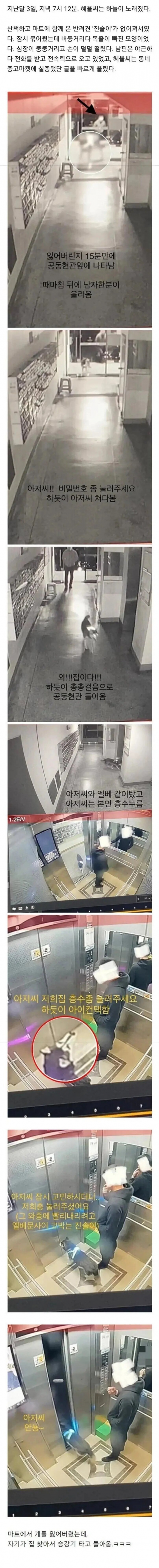 퀘이사존