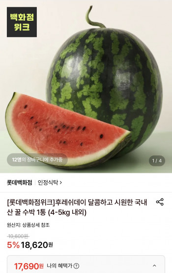 퀘이사존